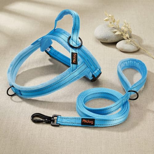 Didog Leash in 3/4''x 4 FT, Blue
