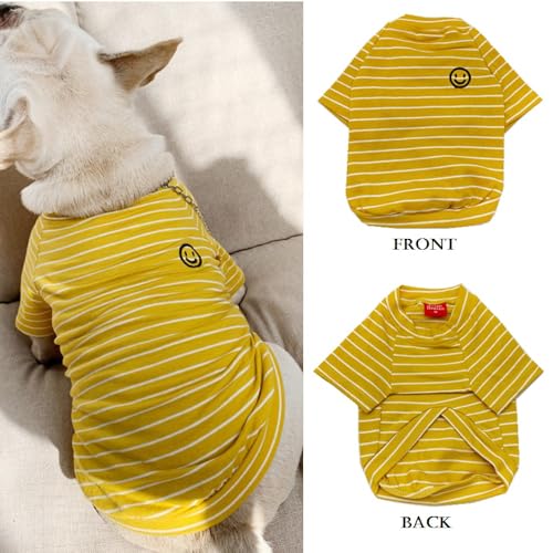 Wiz BBQT Pet Apparel in Pet 3XL - Chest 22.8", Yellow