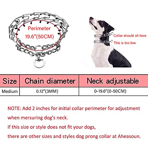Aheasoun Animal Collar in Medium, 3.0mm, 19.6-Inch, Silver
