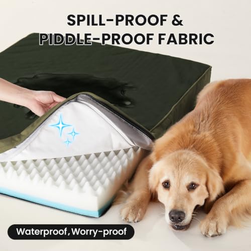 OhGeni Pet Bed Mat in 41" x 28" x 4" (For Crate), 05-Green