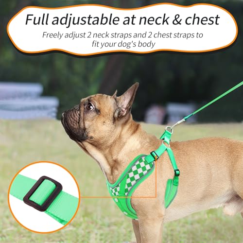 SAEGYPET Animal Harness in Medium, Green (denim)