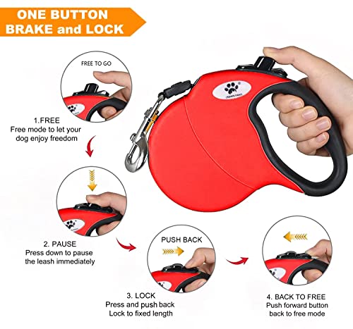 CROWN PAWS Leash in Small, Red