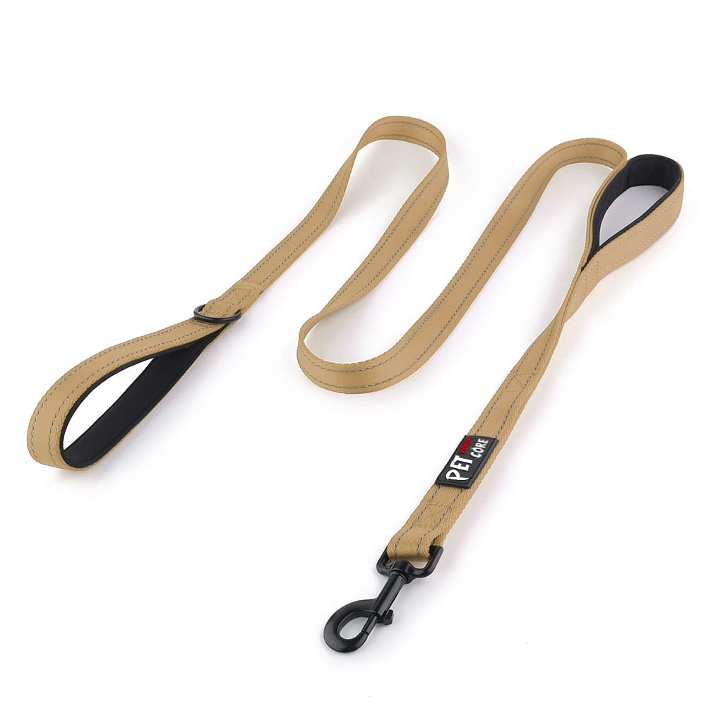 PLUTUS PET Leash in 4 FT, Brown