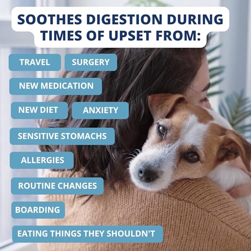 Under the Weather Pet Food in 6 Ounce (Pack of 1)