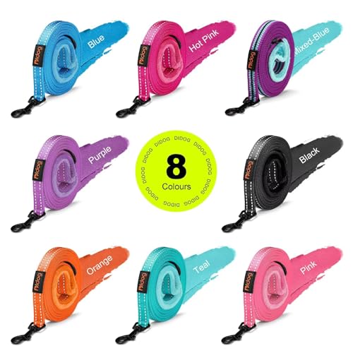 Didog Leash in 5/8''x 6 FT, Black