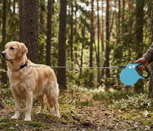 CROWN PAWS Leash in Large, Blue