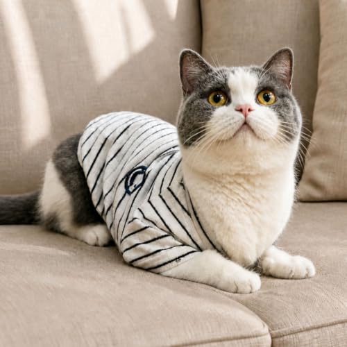 Wiz BBQT Pet Apparel in Pet XS - Chest 11.8", White