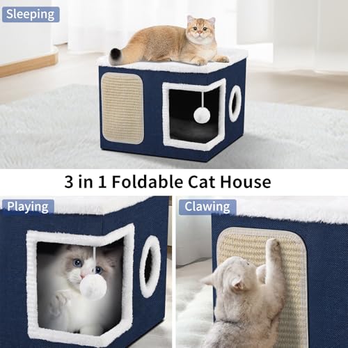 Shikha Animal Shelter in Large, Blue
