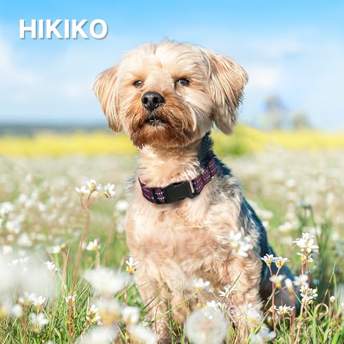 Hikiko Animal Collar in Small, Burgundy