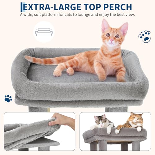 OUTLANE Pet Activity Structure in Light gray, Light Gray