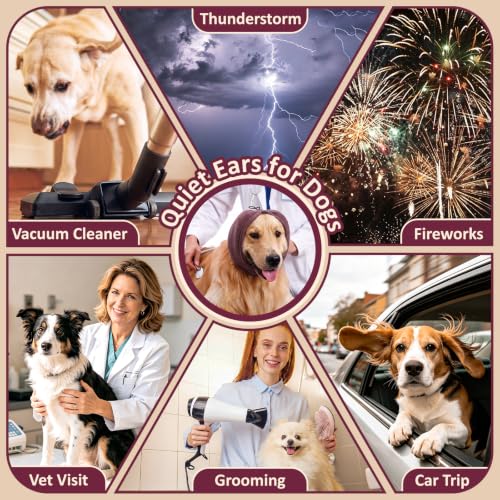 DORA BRIDAL Pet Apparel in S, Burgundy
