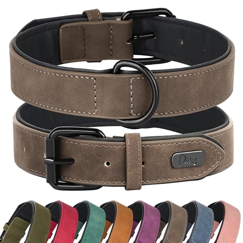Didog Animal Collar in M: Fit Neck 11-14"(10-20 lbs), Brown