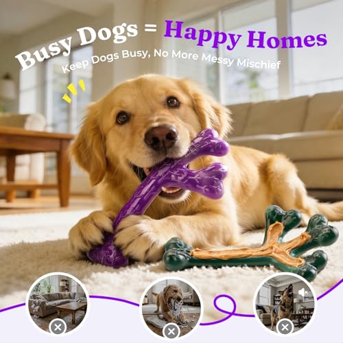 Frienhund Pet Toy in 3 Pack, Deep purple-3-Pack