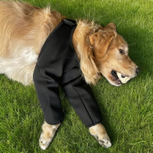 Harikaji Pet Supplies in L-Length 9'' Girth<8.2'', Black Waterproof (Pad Upgrade)
