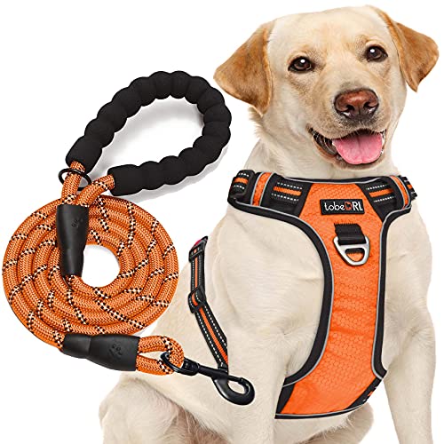 tobeDRI Animal Harness in Medium, Orange