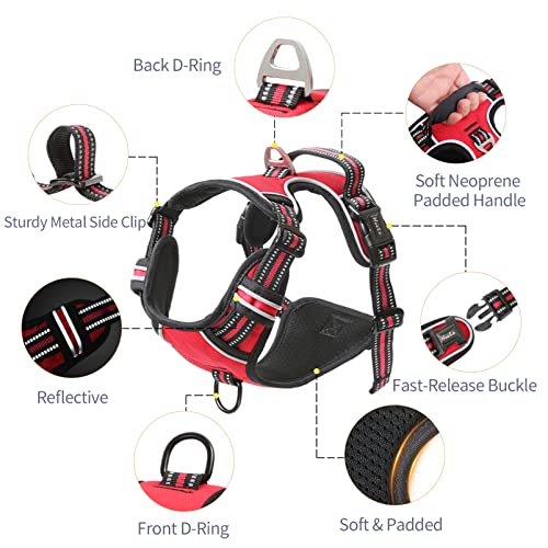 HEELE Animal Harness in S, Red