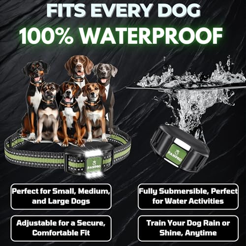 PAWPRO Animal Collar in 1 Collar - Green, Orange