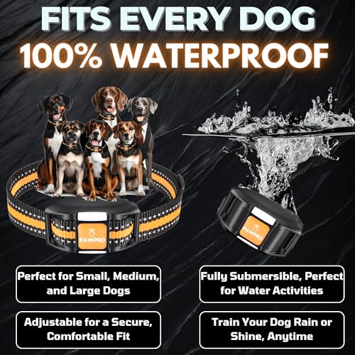 PAWPRO Animal Collar in 1 Collar - Orange, Orange