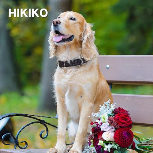 Hikiko Animal Collar in Small, Coffee Brown