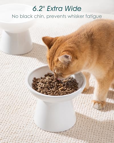 vancasso Pet Feeder in 2 Pack-Food & Water Bowls, White