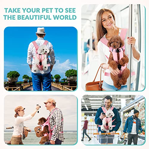 Lukovee Animal Carrier in 8.4"L x 13.0"W x 2.1"H, Pink