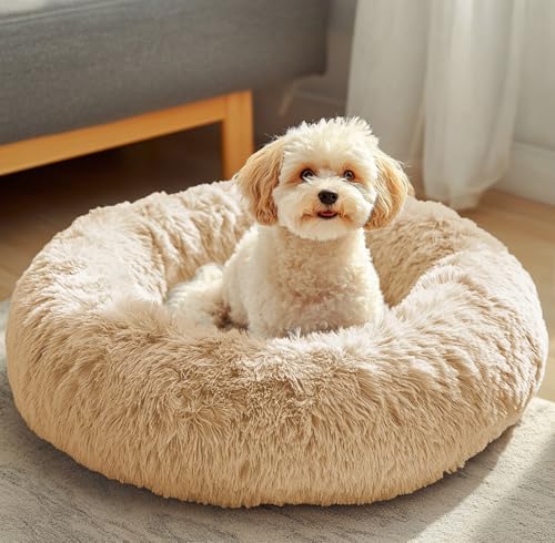 JOLLYVOGUE Pet Bed Mat in 20", Off - White