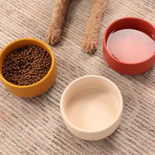 Waggo Pet Feeder in Small, Buttercream