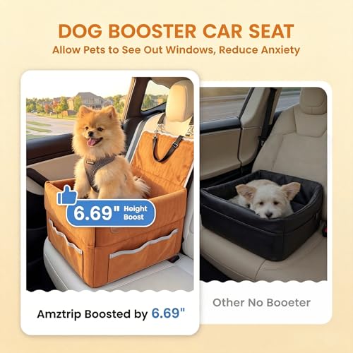 Amztrip Pet Seat in Large, Orange