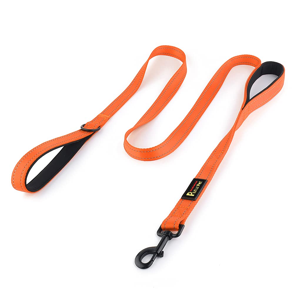 PLUTUS PET Leash in 4 FT, Orange