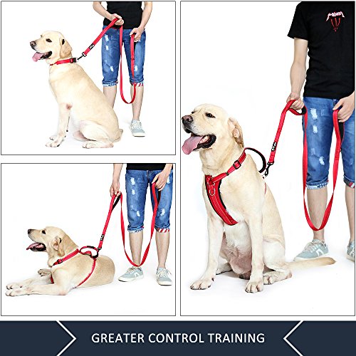 PLUTUS PET Leash in 4 FT, Red