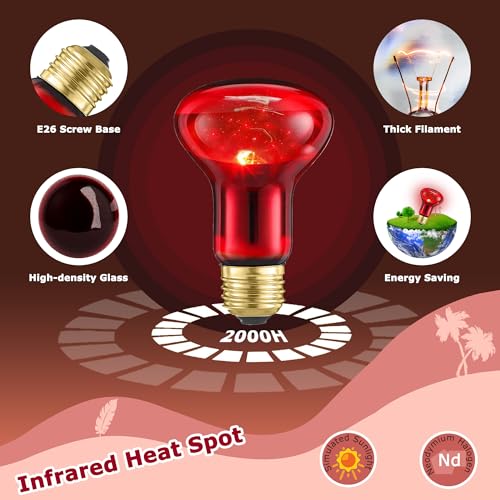HARTOMPET Light Bulb in 60W - 2.5", Red