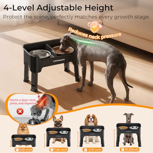 URPOWER Pet Feeder in Small, Matte Black