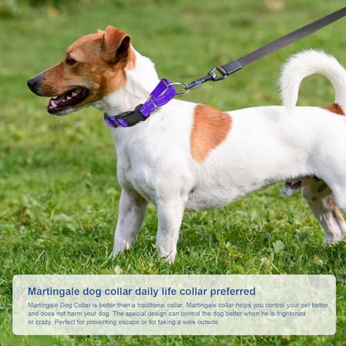 GDLKPS Animal Collar in XS:3/4" Wide for 11.5"-13.5" Neck, Purple