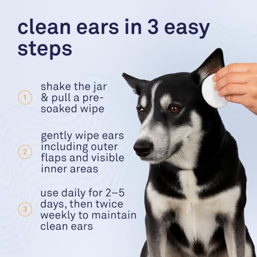 Petpost Pet Supplies in Regular, Ear