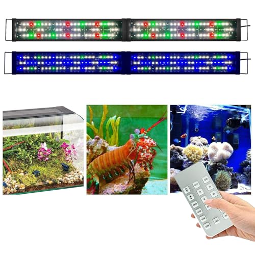 KZKR Lamp in Remote Control Multicolor 48-60 Inch(24+24"), mutil