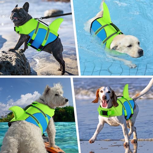 Doglay Pet Apparel in X-small, Fluorescent Green & Blue