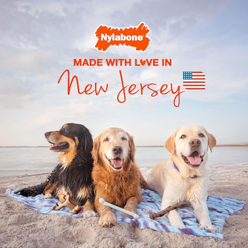 Nylabone Pet Food in 16 Count (Pack of 1)