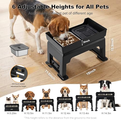 ZOMISIA Pet Feeder in 2L, Black
