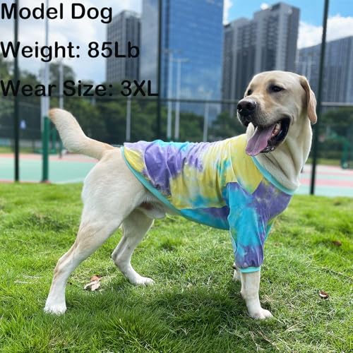 PriPre Pet Apparel in Medium, Blue