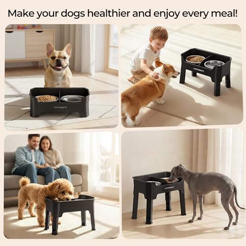 URPOWER Pet Feeder in Small, Matte Black