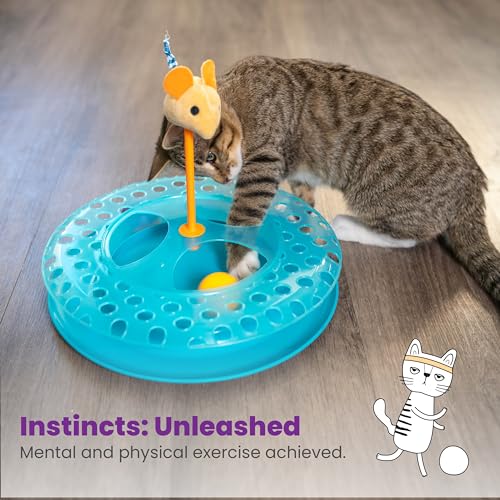 Catstages Pet Toy in One-Size, Cheese Chase