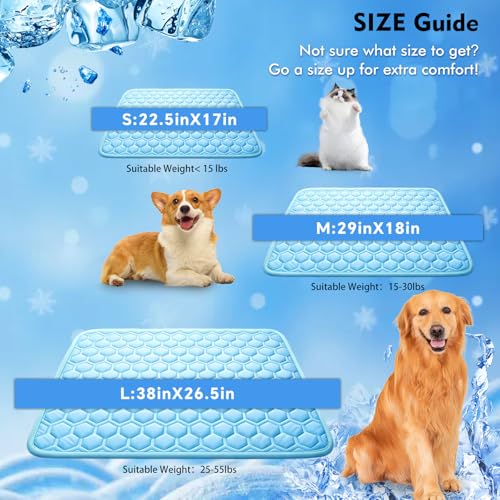 dgdgbaby Pet Bed Mat in Medium, Blue