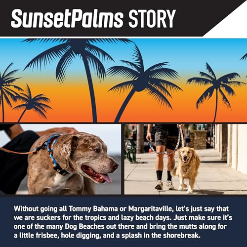 Wolfgang Man & Beast Animal Collar in Small (5/8 Inch x 8-12 Inch), SunsetPalms Print