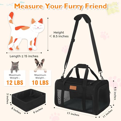 Petux Animal Carrier in 17.0"L x 11.0"W x 9.5"H, Light Black