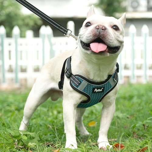 PUPTECK Animal Harness in L (25-33lbs, Chest 20"-25"), #1 Blue(Breathable Mesh)