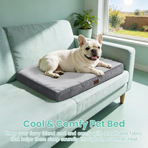 OhGeni Pet Bed Mat in 30" x 20" x 3", 01-Gray