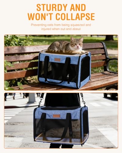 Petux Animal Carrier in 20.0"L x 13.0"W x 13.0"H, Blue