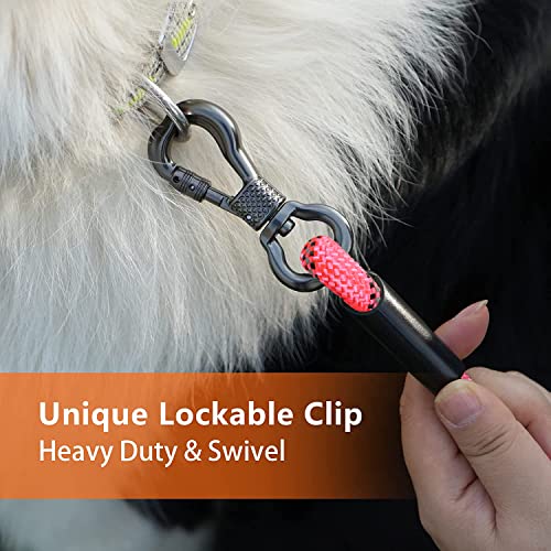 NTR Leash in 8ft*1/2", Pink