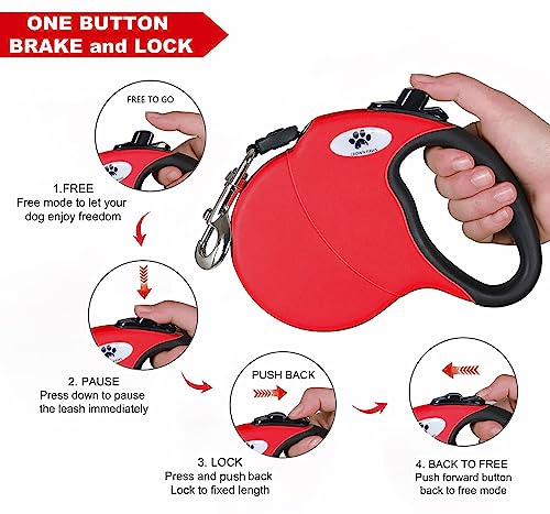 CROWN PAWS Leash in Medium, Red