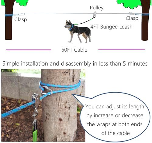SIAELT Leash in 50Ft, Blue 2dogs